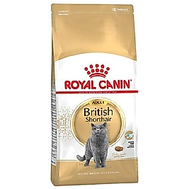 Royal Canin British Shorthair Yetişkin Kedi Maması 10 kg