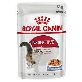 Royal Canin Instinctive Somonlu 85gr