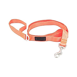 Tailpetz Neon Turuncu Köpek Gezdirme Tasması 2 x 140 cm
