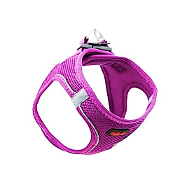 Tailpetz Air Mesh Göğüs Tasması Mor XL