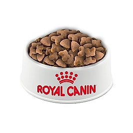Royal Canin Hassas Sindirim Açık Yetişkin Kedi Maması (Sensible) 500 Gr