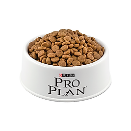 Purina Pro Plan Medium Kuzu Etli Açık Yetişkin Köpek Maması 500 Gr