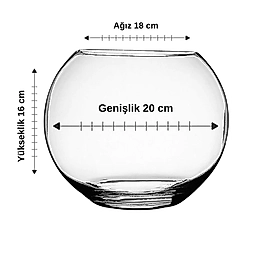 Özel Kesim Cam Fanus Ağız 18 cm Genişlik 20 cm Yükseklik 16 cm