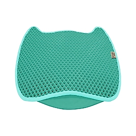 Cattie Fonksiyonel Yeşil Kedi Tuvalet Paspası 50 x 50 cm