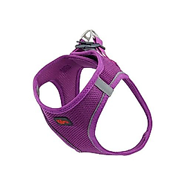 Natura Pet Bel Tasması Mor XS