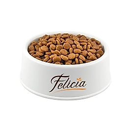Felicia Hipoalerjenik Somonlu Açık Kısırlaştırılmış Kedi Maması 500Gr