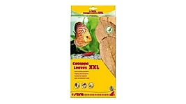 Sera Catappa Leaves XXL Akvaryum Catappa Yaprağı 32 cm 10 Adet