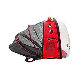 Cattie Fileli Kırmızı Taşıma Sırt Çantası (25 x 60 x 40 cm)