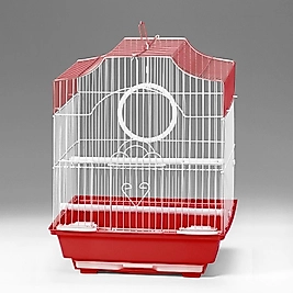 EuroGold Kafes Renkli 30x23x39