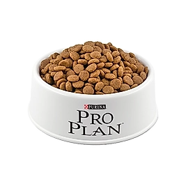 Purina Pro Plan Somonlu Açık Kısırlaştırılmış Kedi Maması 500 Gr