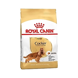 Royal Canin Cocker Yetişkin Köpek Maması 3 kg