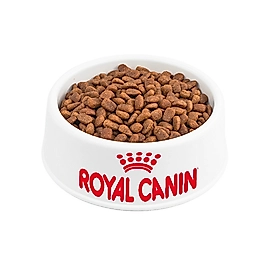 Royal Canin Light Weight Tavuk Etli Açık Yetişkin Kedi Maması 500Gr
