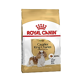 Royal Canin Cavalier King Charles Yetişkin Köpek Maması (1,5 kg)
