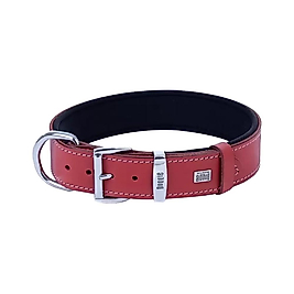Doggie Comfort Deri Kemik Desenli Köpek Boyun Tasması Kırmızı 3,5 x 52 - 60 cm
