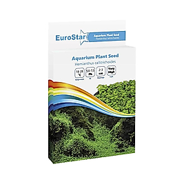 EuroStar Bitki Tohum Glossostigma Elatinoides