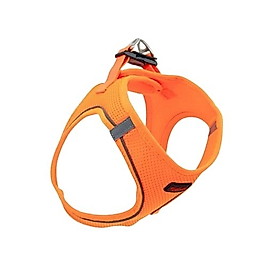 Tailpetz Air Mesh Göğüs Tasması Turuncu XL