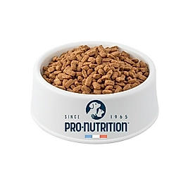 Pro-Nutrition Crocktail Hindi Etli Açık Yetişkin Kedi Maması 500Gr