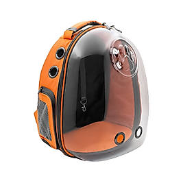 Cattie Şeffaf Turuncu Taşıma Sırt Çantası (25 x 30 x 40 cm)