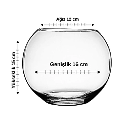 Özel Kesim Cam Fanus Ağız 12 cm Genişlik 16 cm Yükseklik 15 cm