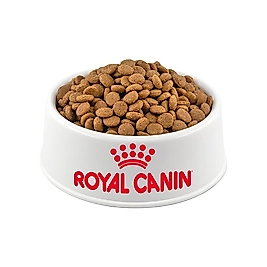 Royal Canin Büyük Irk Açık Yetişkin Köpek Maması 500 Gr