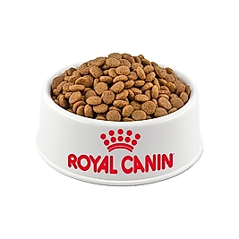 Royal Canin Açık Kısırlaştırılmış Kedi Maması 500 Gr
