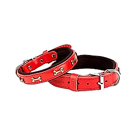 Doggie Comfort Deri Kemik Süslü Köpek Boyun Tasması Kırmızı 2 x 30 - 35 cm