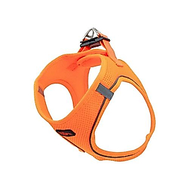 Natura Pet Bel Tasması Neon Turuncu XS