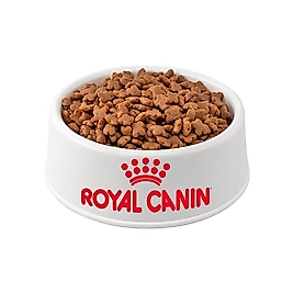 Royal Canin Açık Yavru Kedi Maması 500 Gr