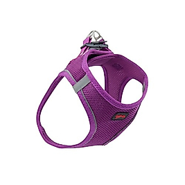TailPetz Air Mesh Köpek Göğüs Tasması Mor S