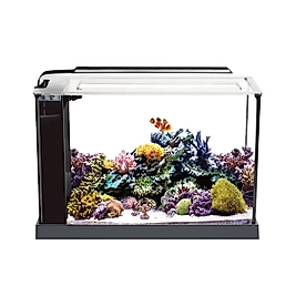 Anubias Evo-V6 52 Nano Akvaryum Siyah 52 x 19 x 30 Cm