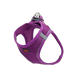 Natura Pet Air Net Bel Tasması Mor S