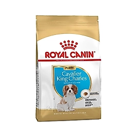 Royal Canin Cavalier King Charles Yavru Köpek Maması 1,5 kg