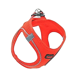 Tailpetz Air Mesh Garnet Kedi ve Küçük Irk Köpek Göğüs Tasması XS