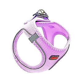 Tailpetz Air-Mesh Lilac Göğüs Tasması XS
